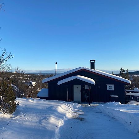 Vollen Cabin In The Mountain, Outstanding View & Solar Energy מראה חיצוני תמונה