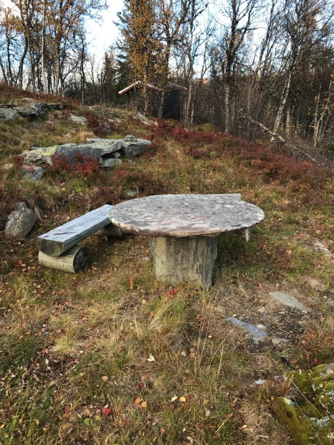 Vollen Cabin In The Mountain, Outstanding View & Solar Energy מראה חיצוני תמונה