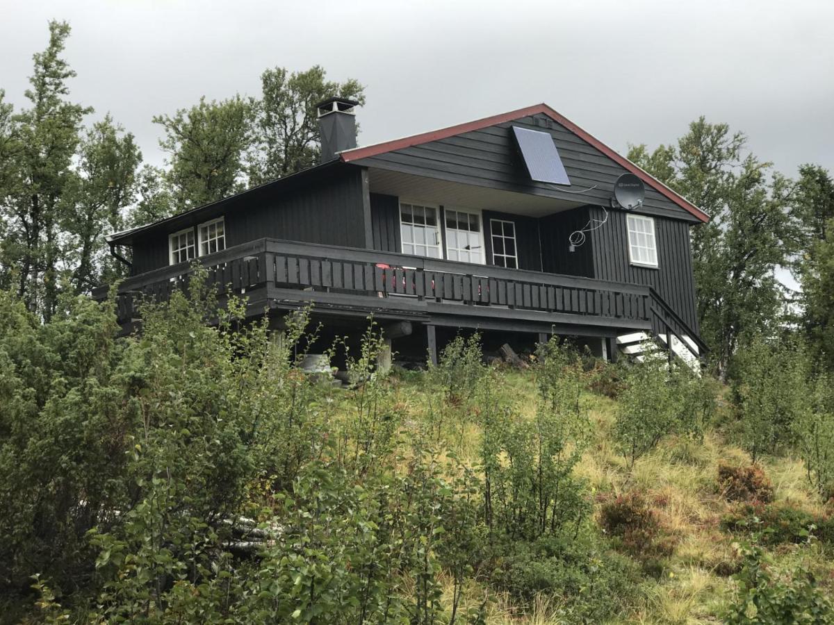 Vollen Cabin In The Mountain, Outstanding View & Solar Energy מראה חיצוני תמונה