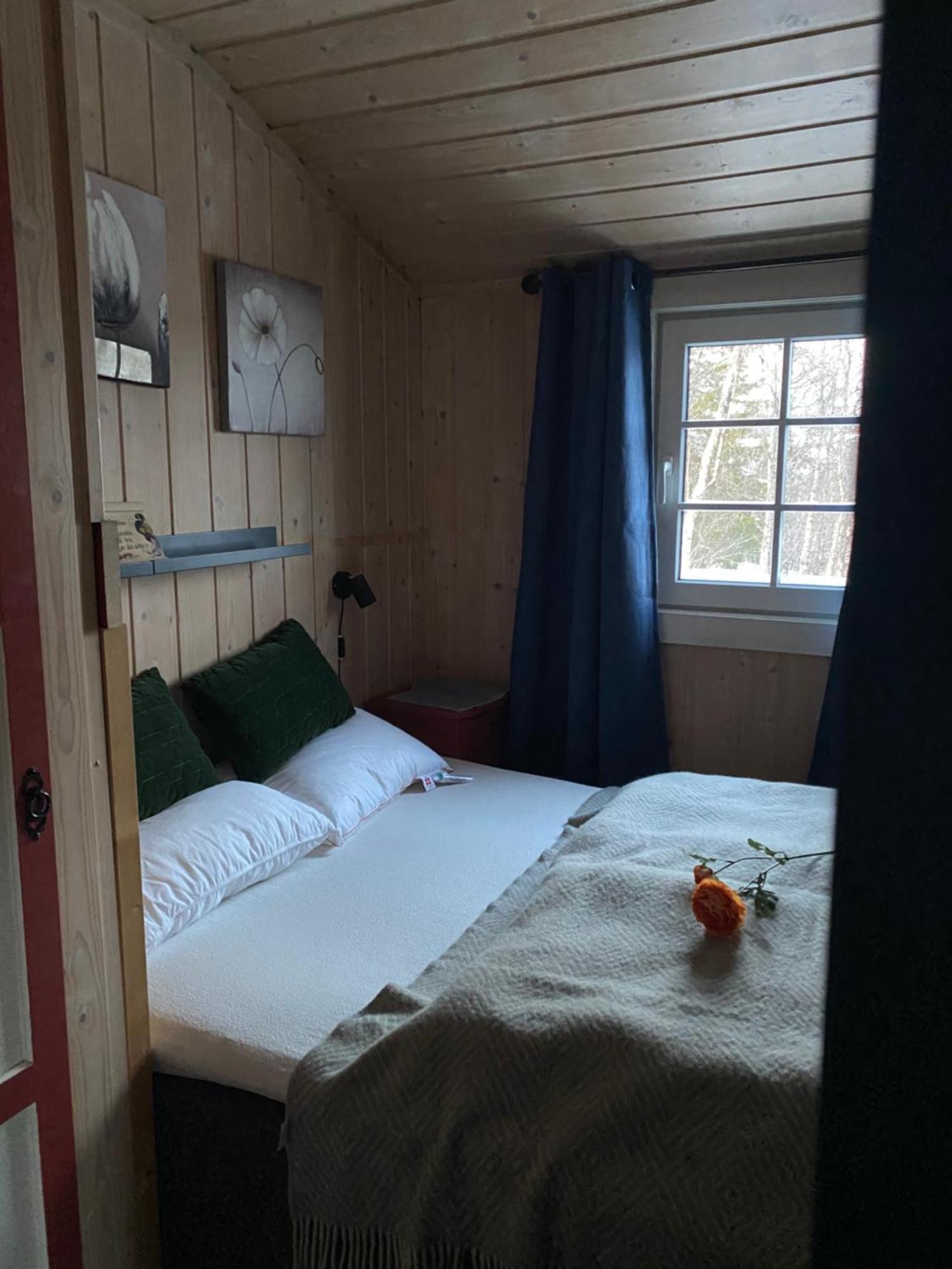 Vollen Cabin In The Mountain, Outstanding View & Solar Energy מראה חיצוני תמונה